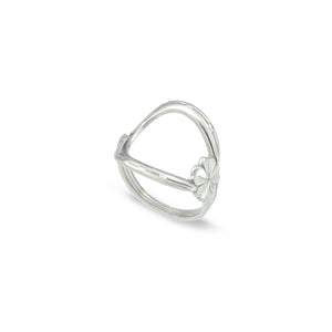 
                  
                    Loisel Ring
                  
                