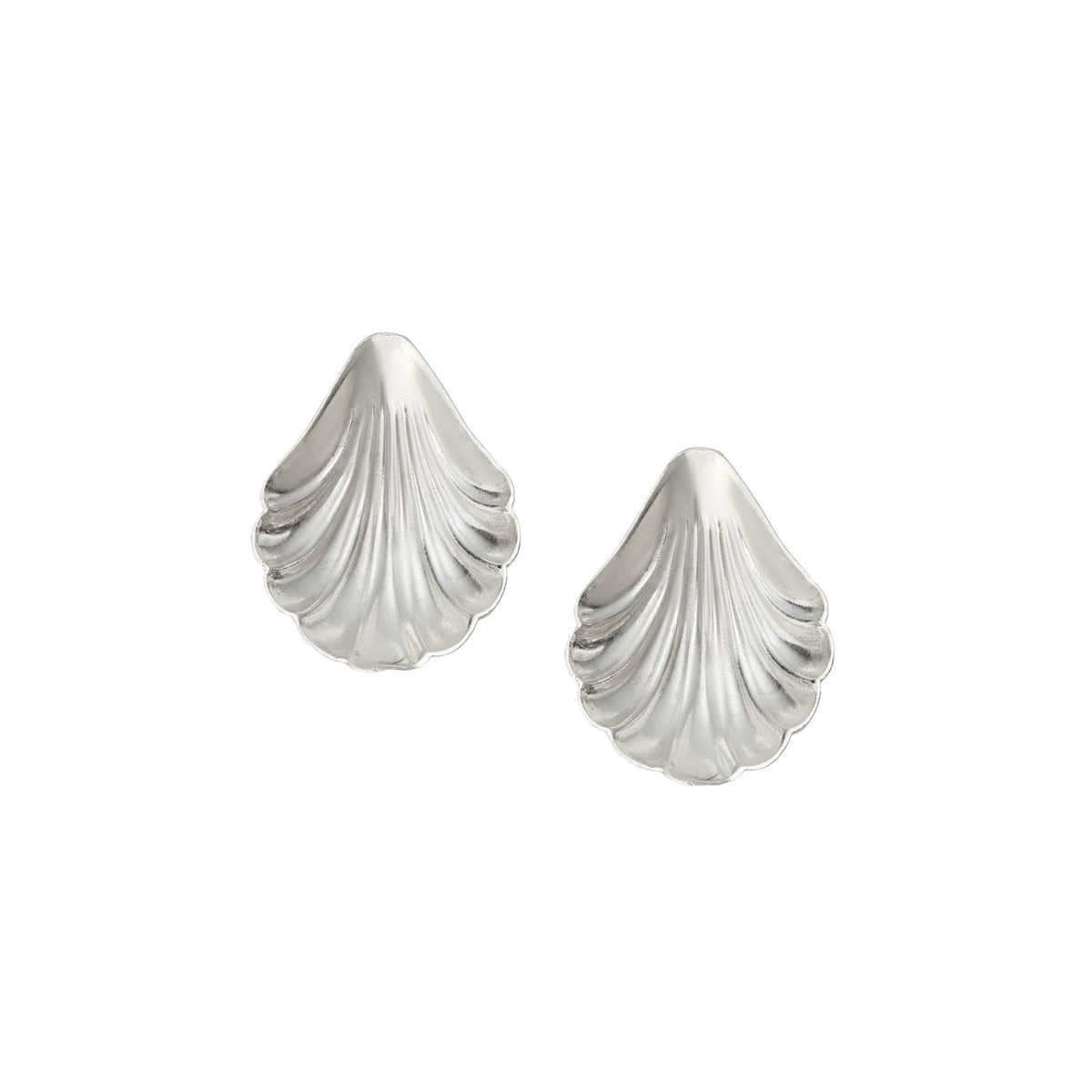 Shell Earrings